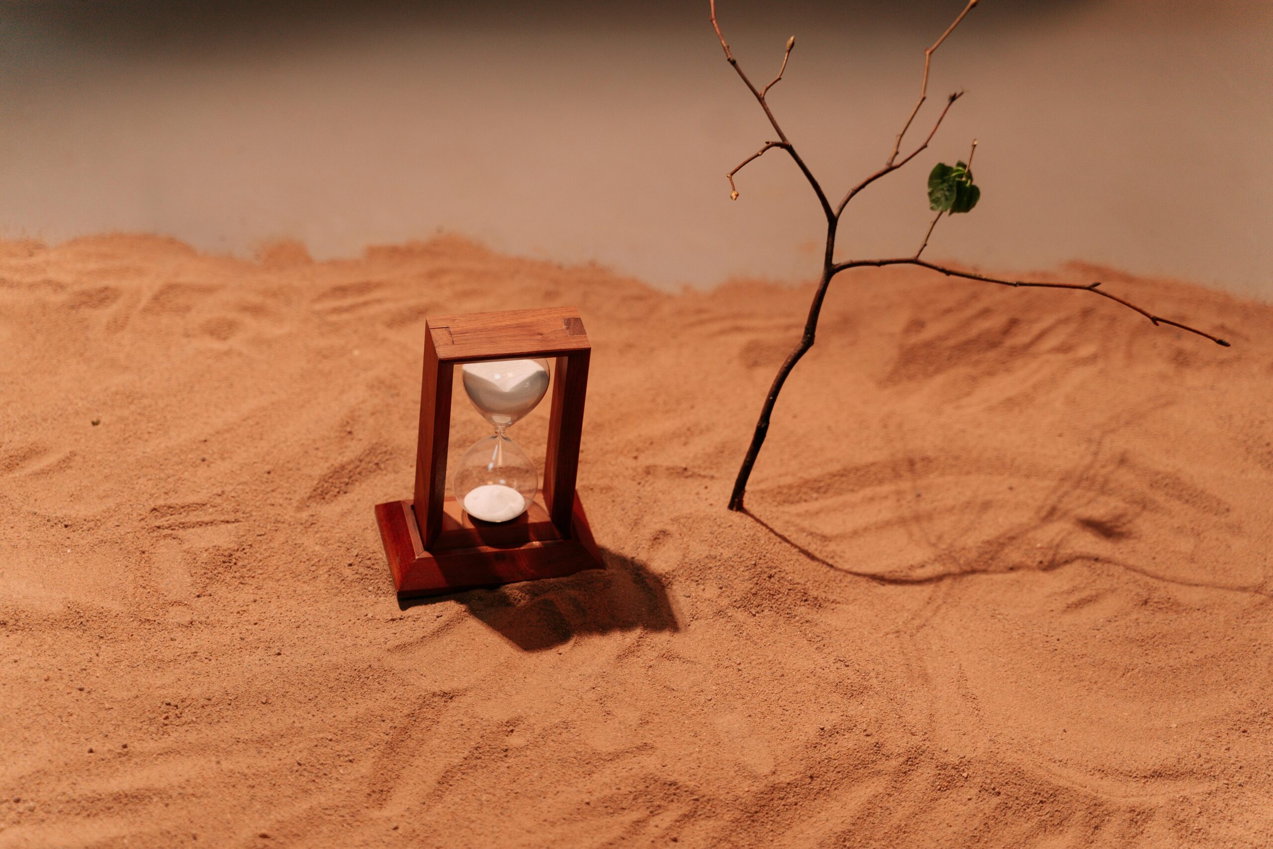 A minimalist scene featuring an hourglass on sand next to a bare branch, symbolizing time and nature.